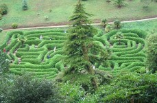Navigating through the maze of life with Trans4mational Change